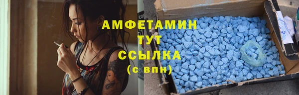 ALPHA PVP Инсар
