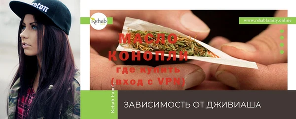 apvp Каменка