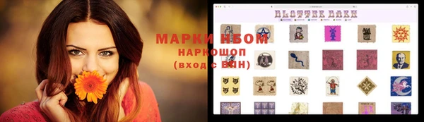 ALPHA PVP Инсар
