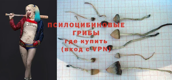 герыч Инта