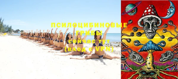 ПСИЛОЦИБИНОВЫЕ ГРИБЫ Иннополис