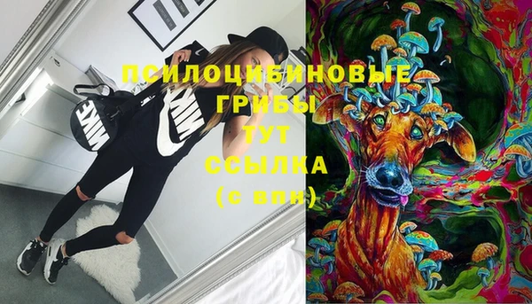 ALPHA PVP Инсар